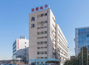 瑞普电子大厦