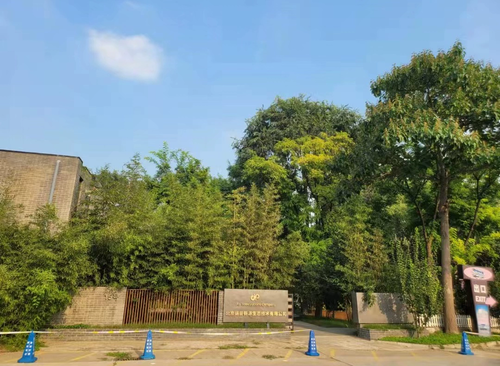 枫花园汽车影院独栋