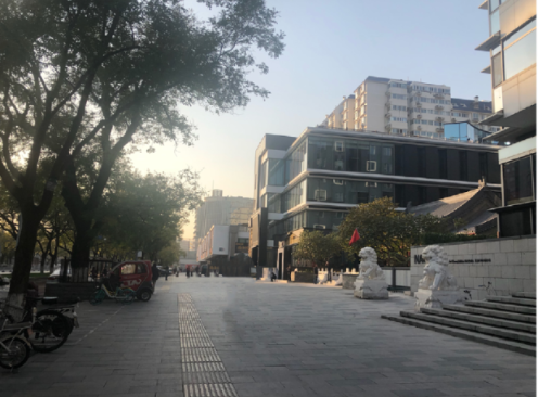 NAGA上院