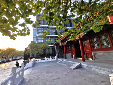 NAGA上院
