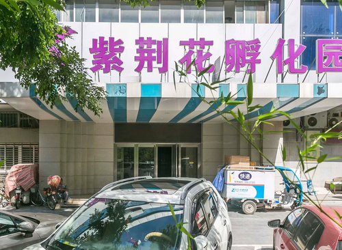 紫荆花孵化园