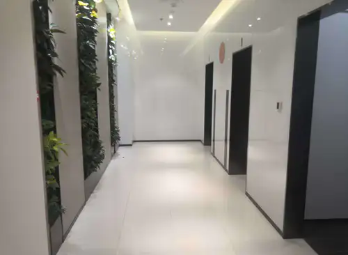 韦伯时代 （办伴）