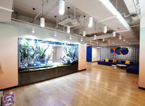 中间态ONESPACE （百富国际） 