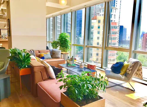 wework（远洋国际中心）