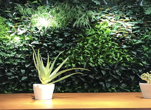 wework（兆维工业园）