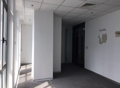 118㎡