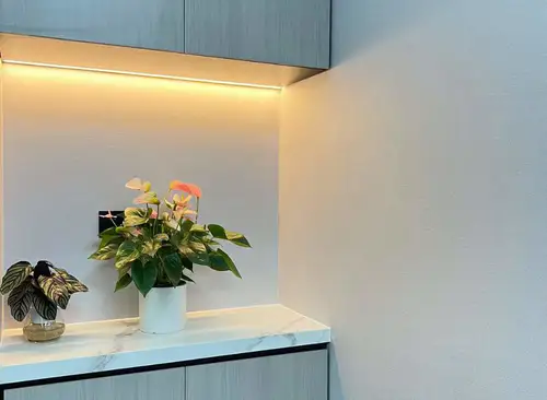 129.5m²