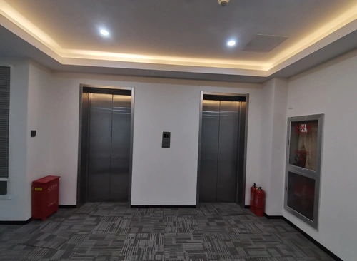 25m²