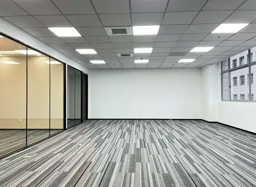 245.00m²