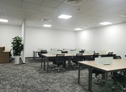 205m²