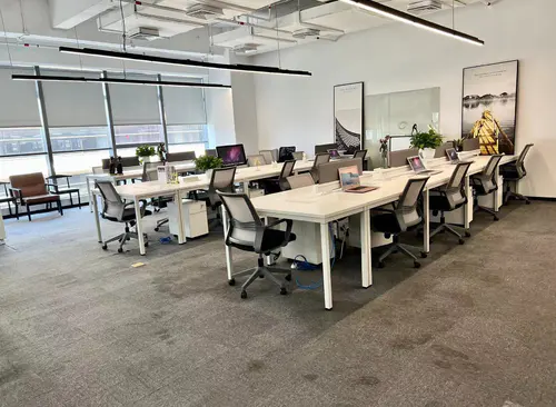 229m²