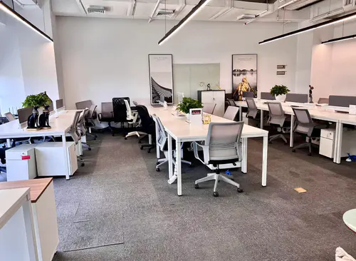 229m²