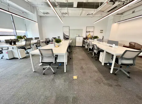 229m²
