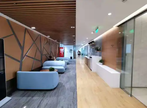 256.00m²