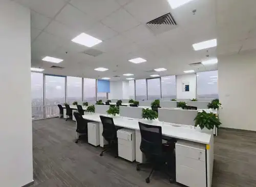 256.00m²