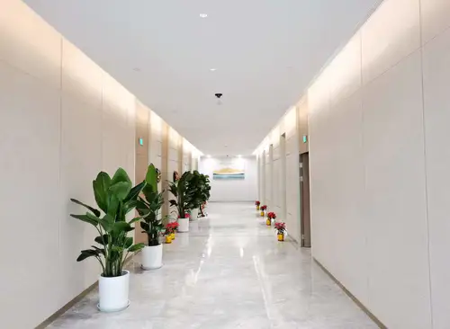 133.7m²