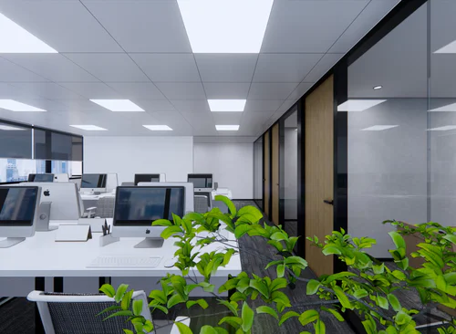 215m²