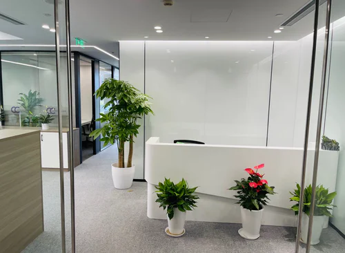290m²