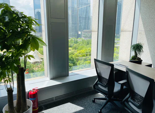 290m²