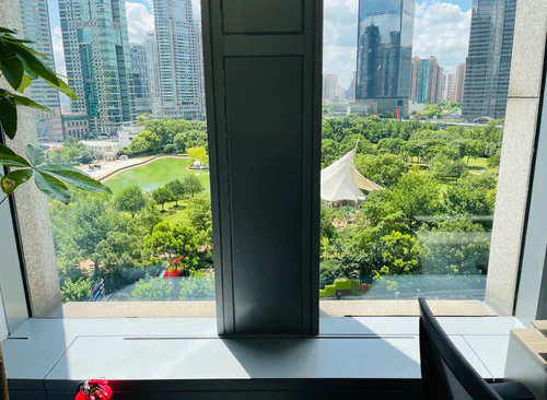 290m²