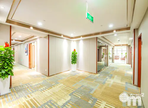 126.50m²