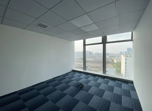 265m²
