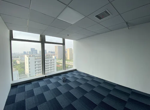 265m²