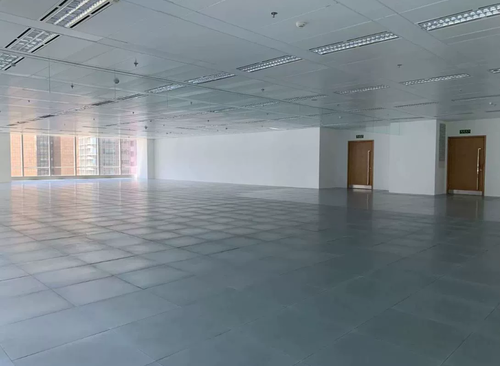 2600㎡