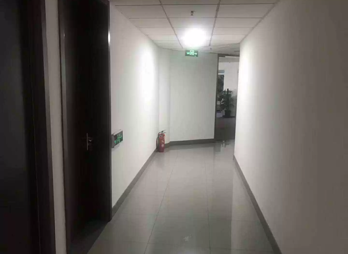 1550㎡