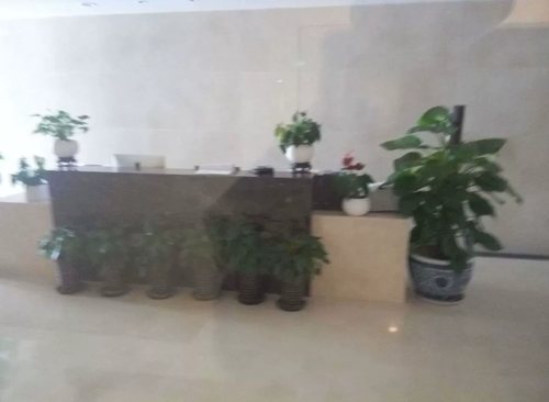 195㎡