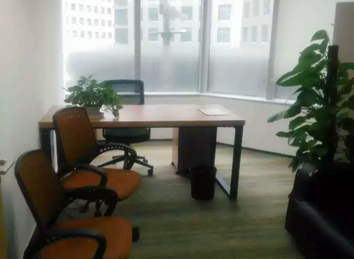 1309㎡