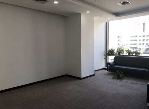 591.23㎡
