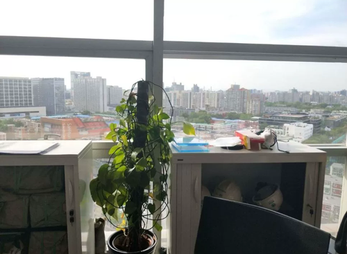 206㎡