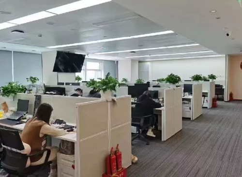 389㎡