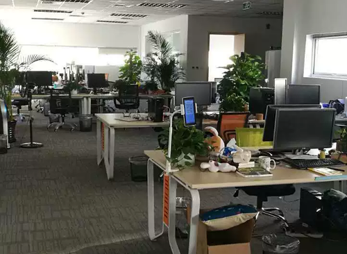 2300㎡