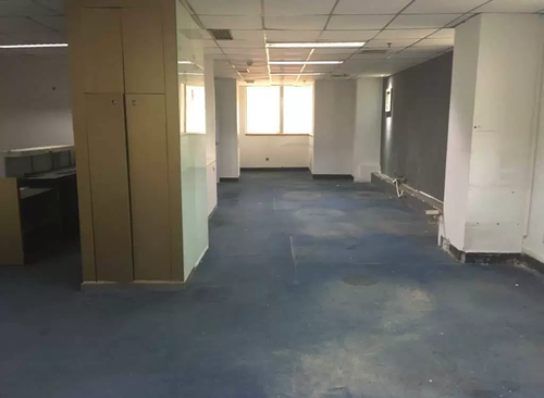 250㎡
