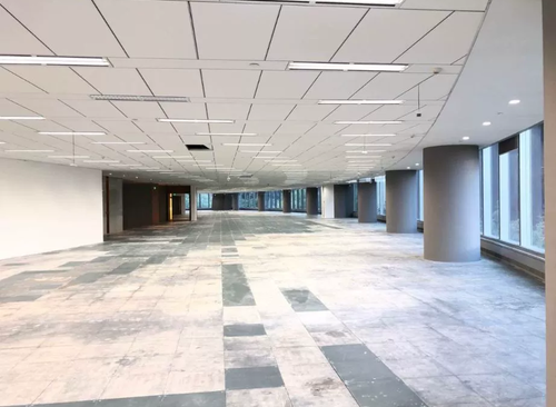 856.36㎡