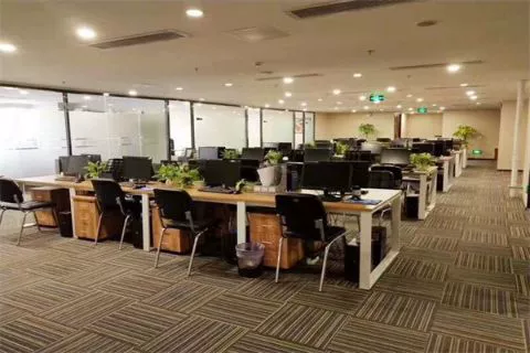 1000㎡
