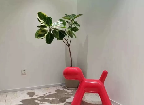 800.62㎡