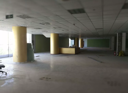 920㎡