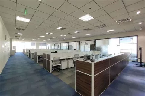 4000㎡