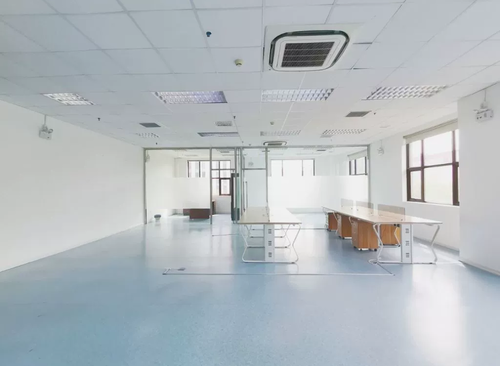 278㎡