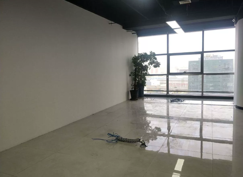 300㎡