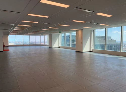 1538㎡