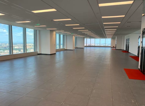 1538㎡