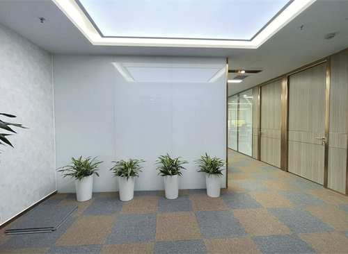 262㎡