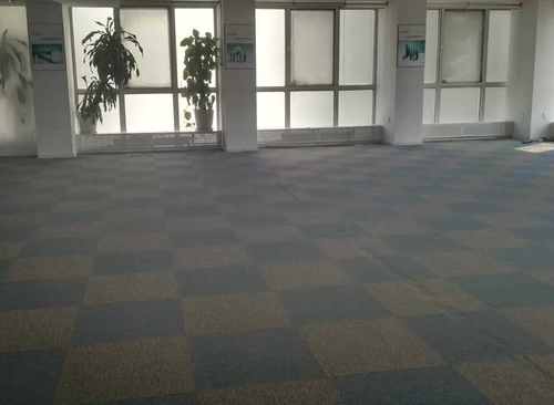 600㎡
