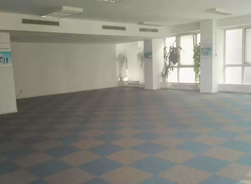 600㎡