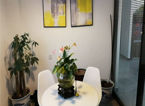 300㎡