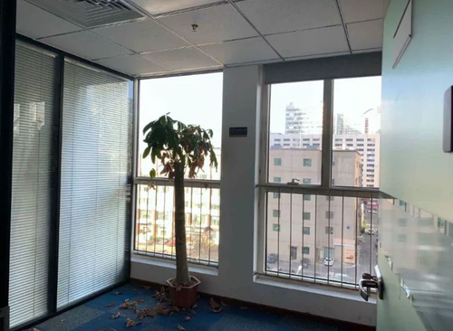 250㎡